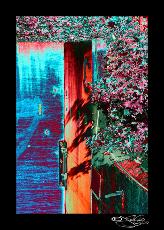 IR Inverted