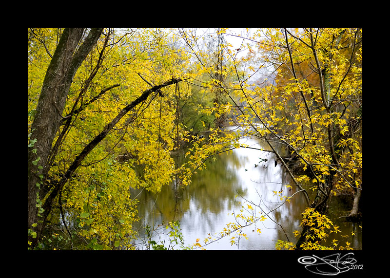 312:366<br>Framed and Flowing