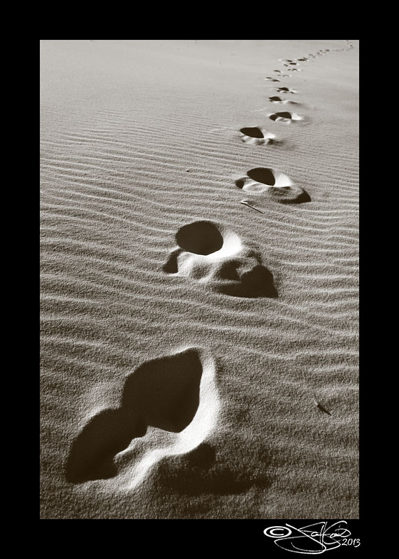 Journey