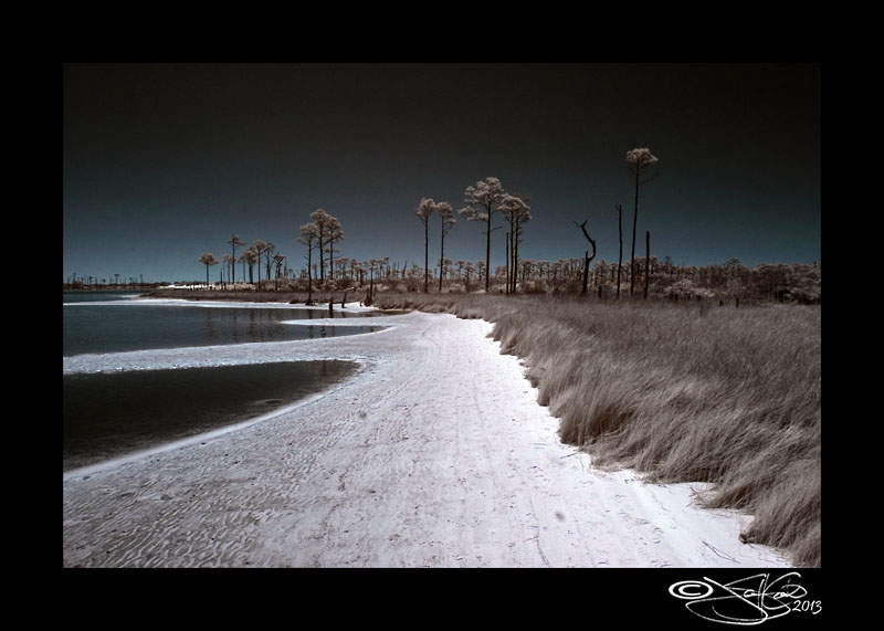 Lagoon to Dunes