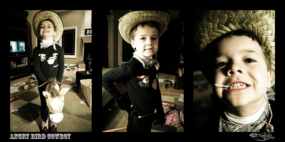 Angry Bird Cowboy