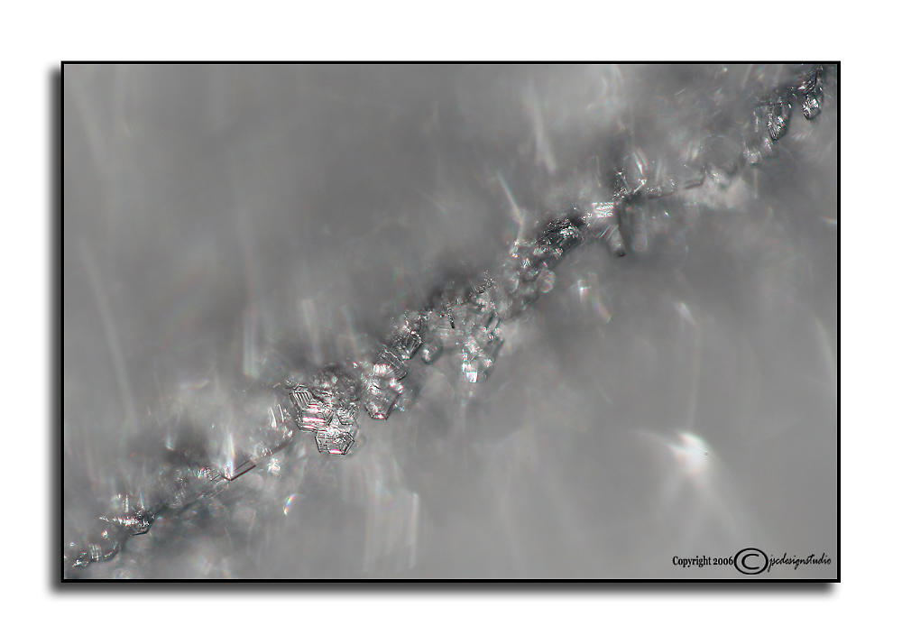 sl<i>ICE</i><p>December 4
