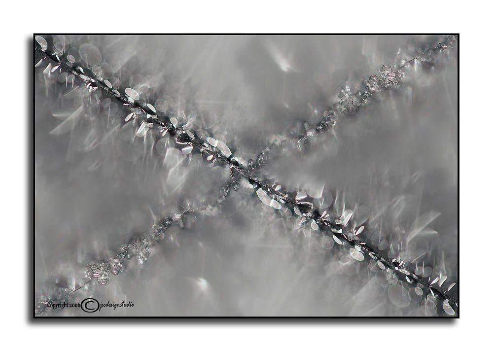 Crossing
