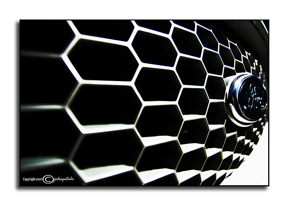 In the Hive<p>February 28