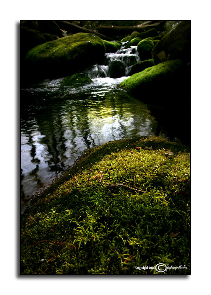 Roaring Fork<p>May 2
