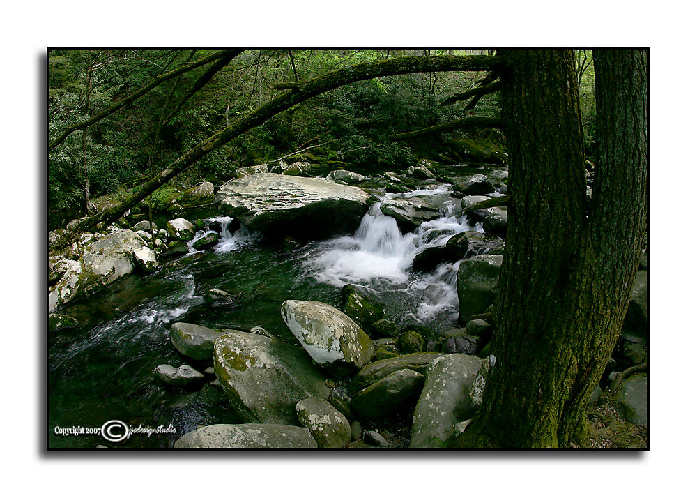 Porters Creek