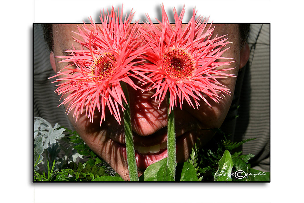 SPider Eyes<br>SP Friday<br>May 18