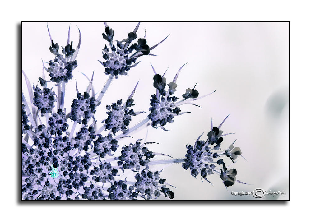 Jumbled June XIX<p>June 15