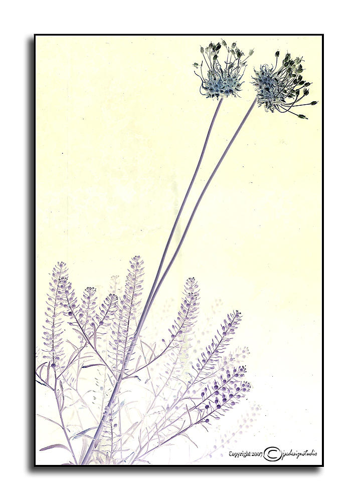 Jumbled June XXXII<p>June 27