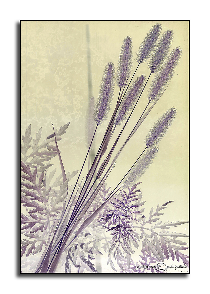 Jumbled June XXXIII<p>June 28