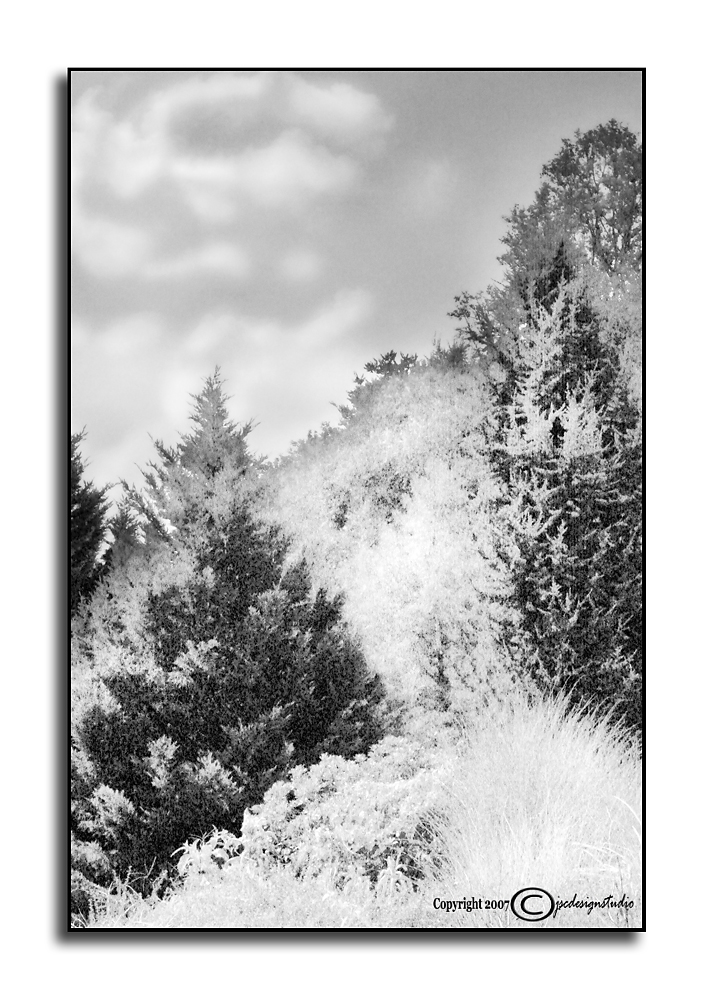Ambient Achromatic August VII