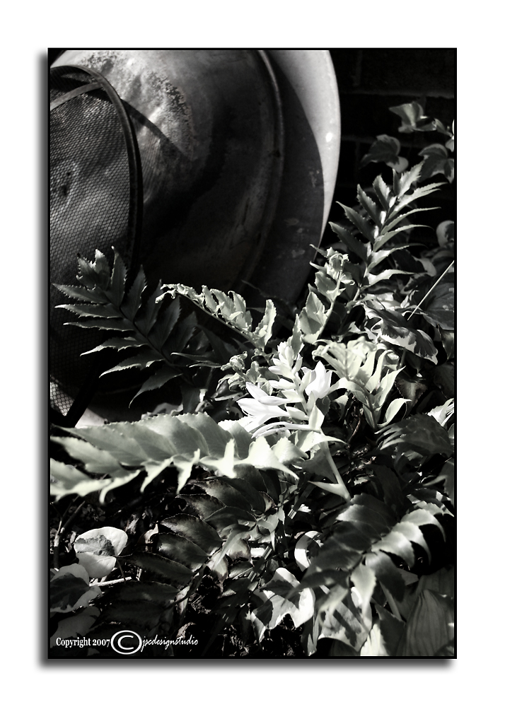 Ambient Achromatic August XVIII