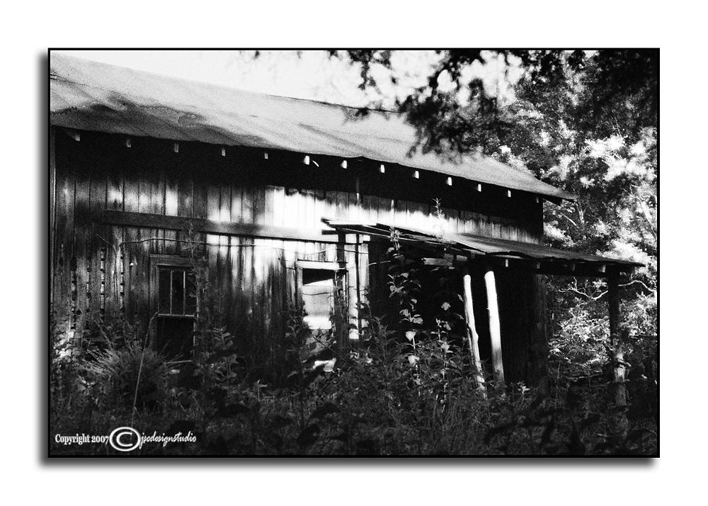Ambient Achromatic August XXXIII<p>August 25