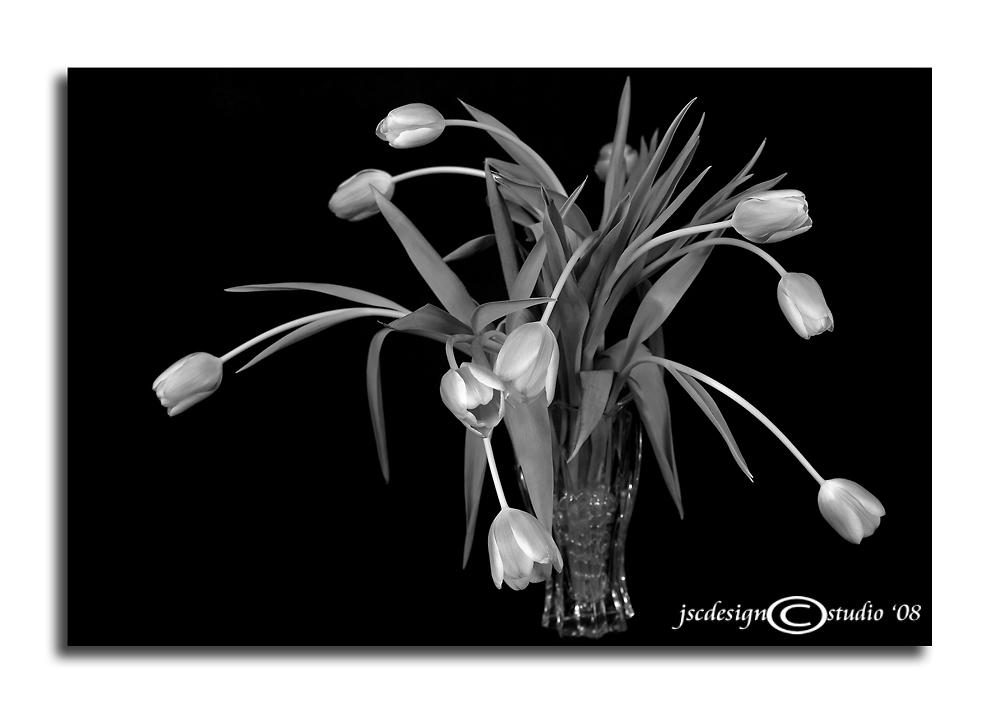 Aprils Favorites<p>February 16
