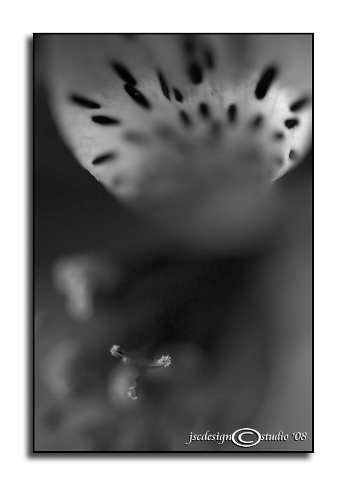 Chance Encounter BW<p>February 23