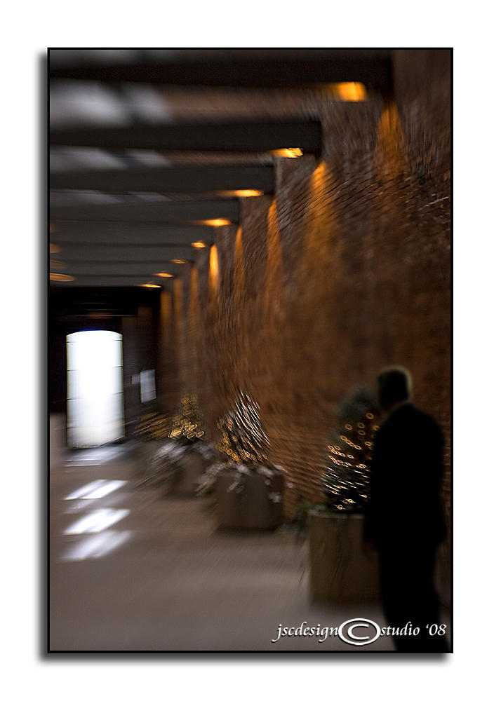 To the Light