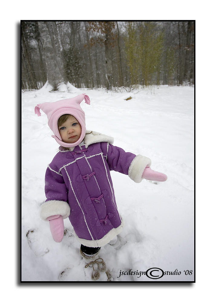 Snow Day V