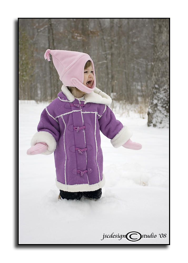 Snow Day IV