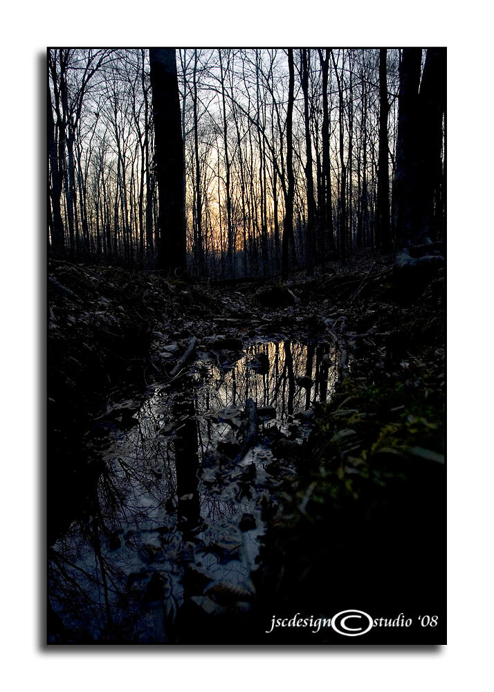 CHALLENGE:<i>Precious Metals</i><br>Winter Gold<br>March 27