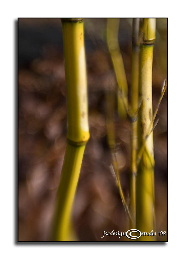 Bent<p>April 1