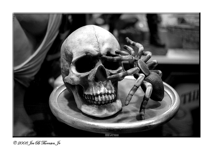 Skulls & Spiders