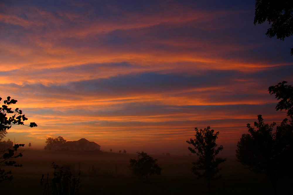 Foggy Sunrise