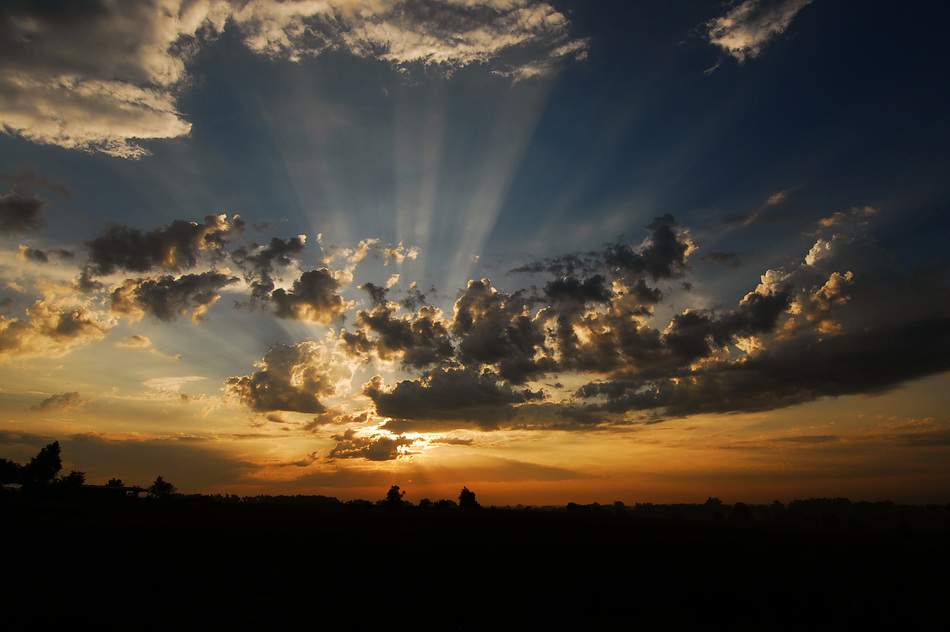 Early Summer Sunrise