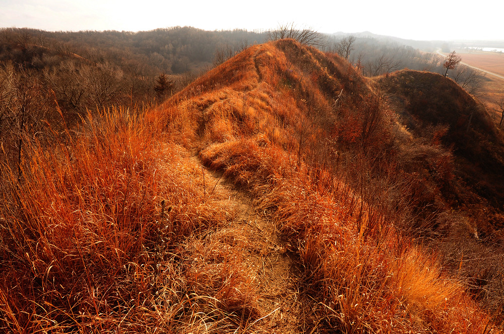 Loess Hills at Squaw Creek Overlook