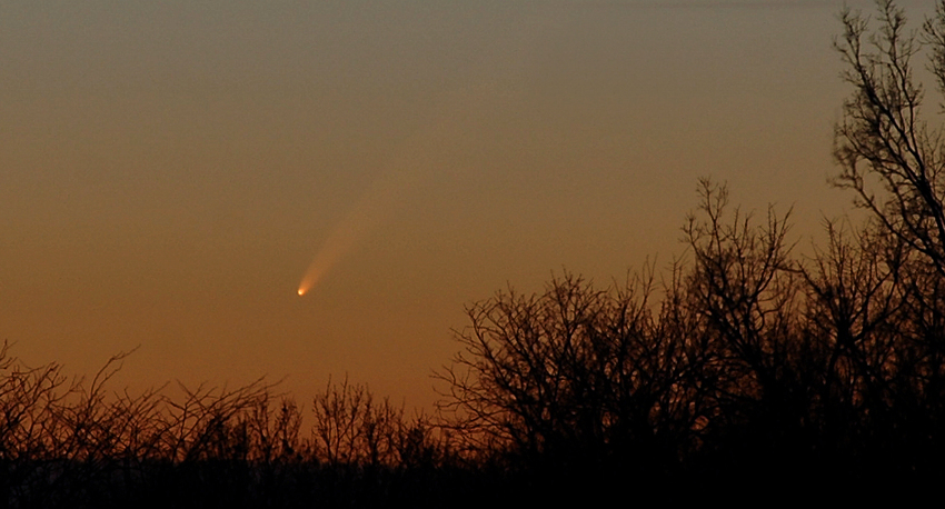 Comet McNaught (C/2006 P1)