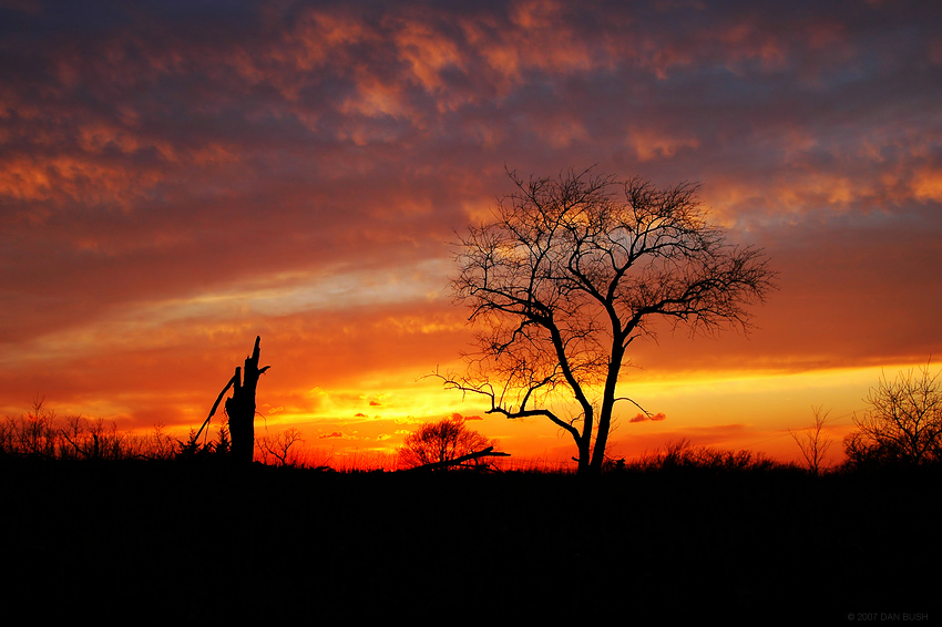 Life & Death at Elam Bend