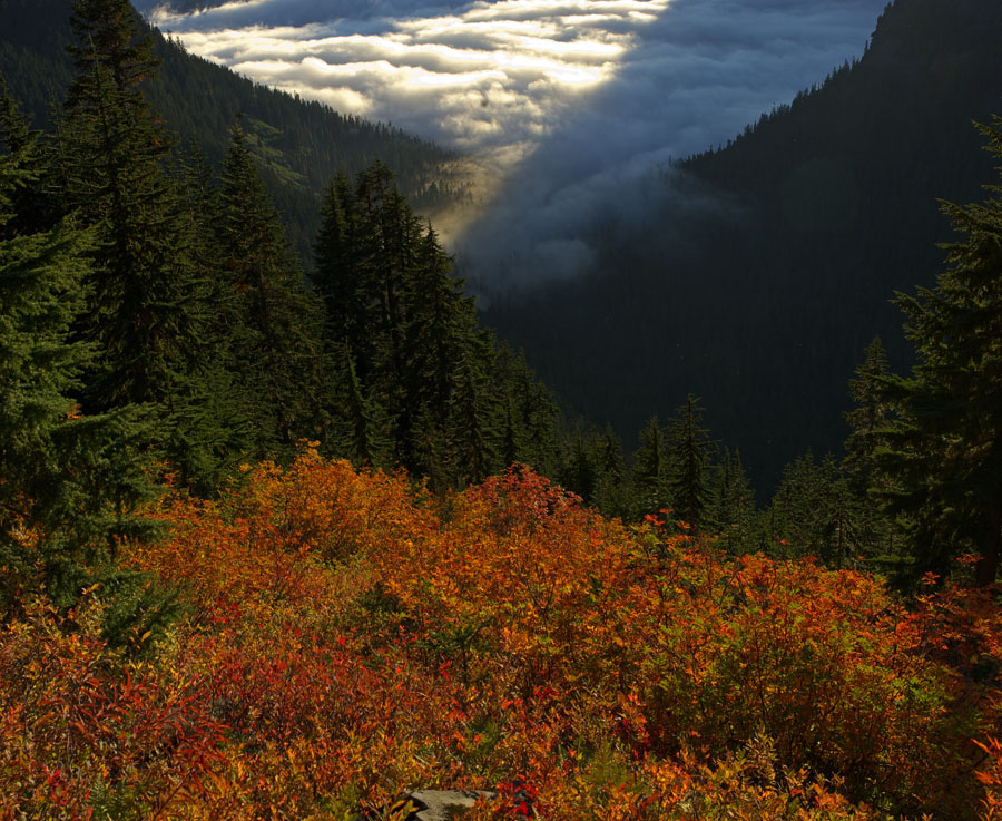 Fall Colors