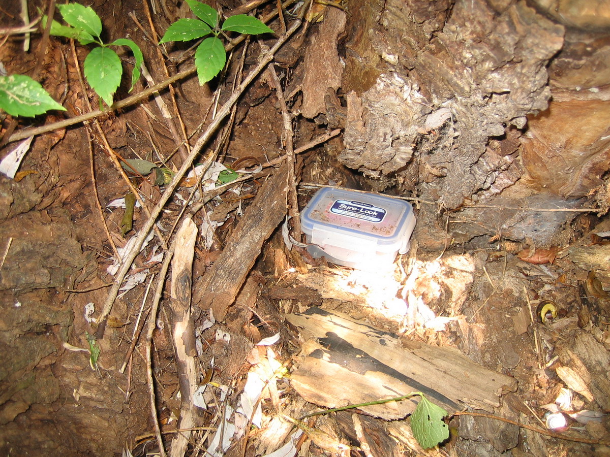 0132 Lukes Cache Final