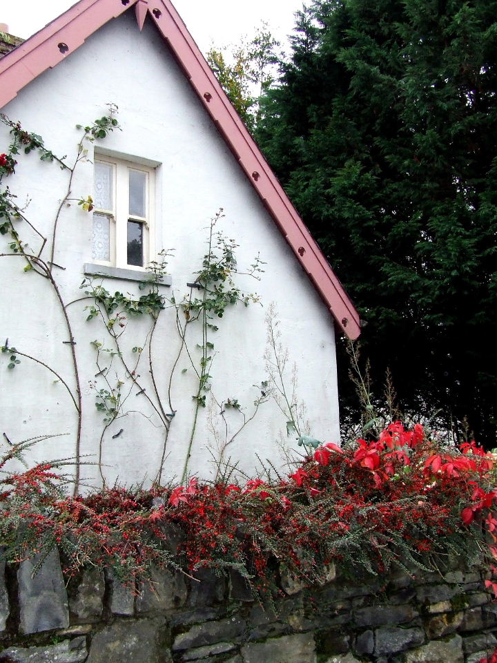 Bunratty Cottage