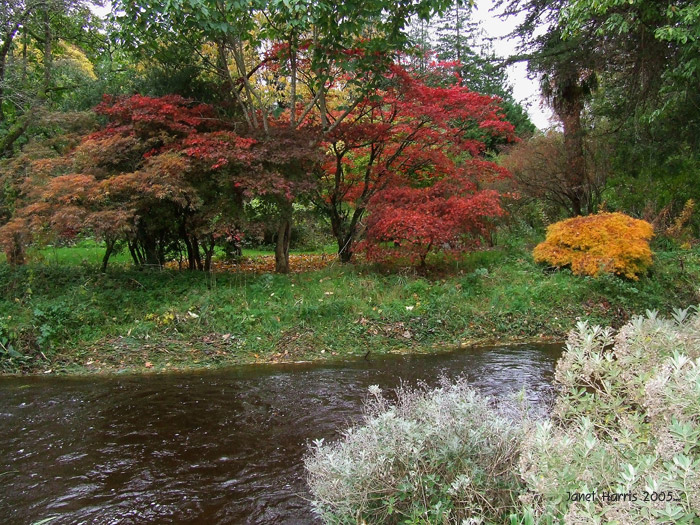 Birr Castle Grounds