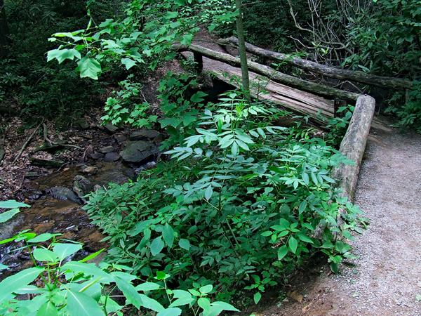 Footbridge