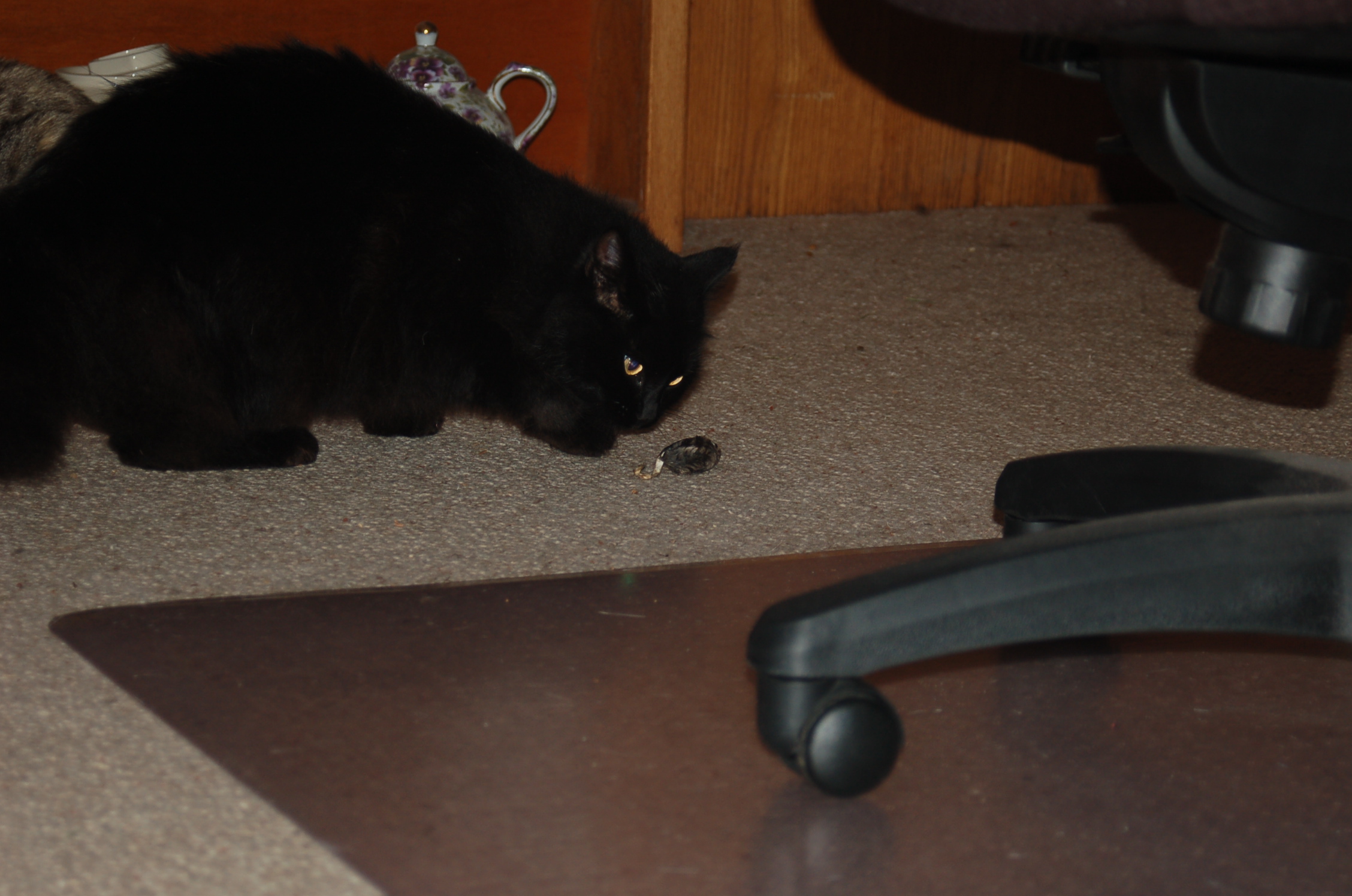 DSC_1803.JPG