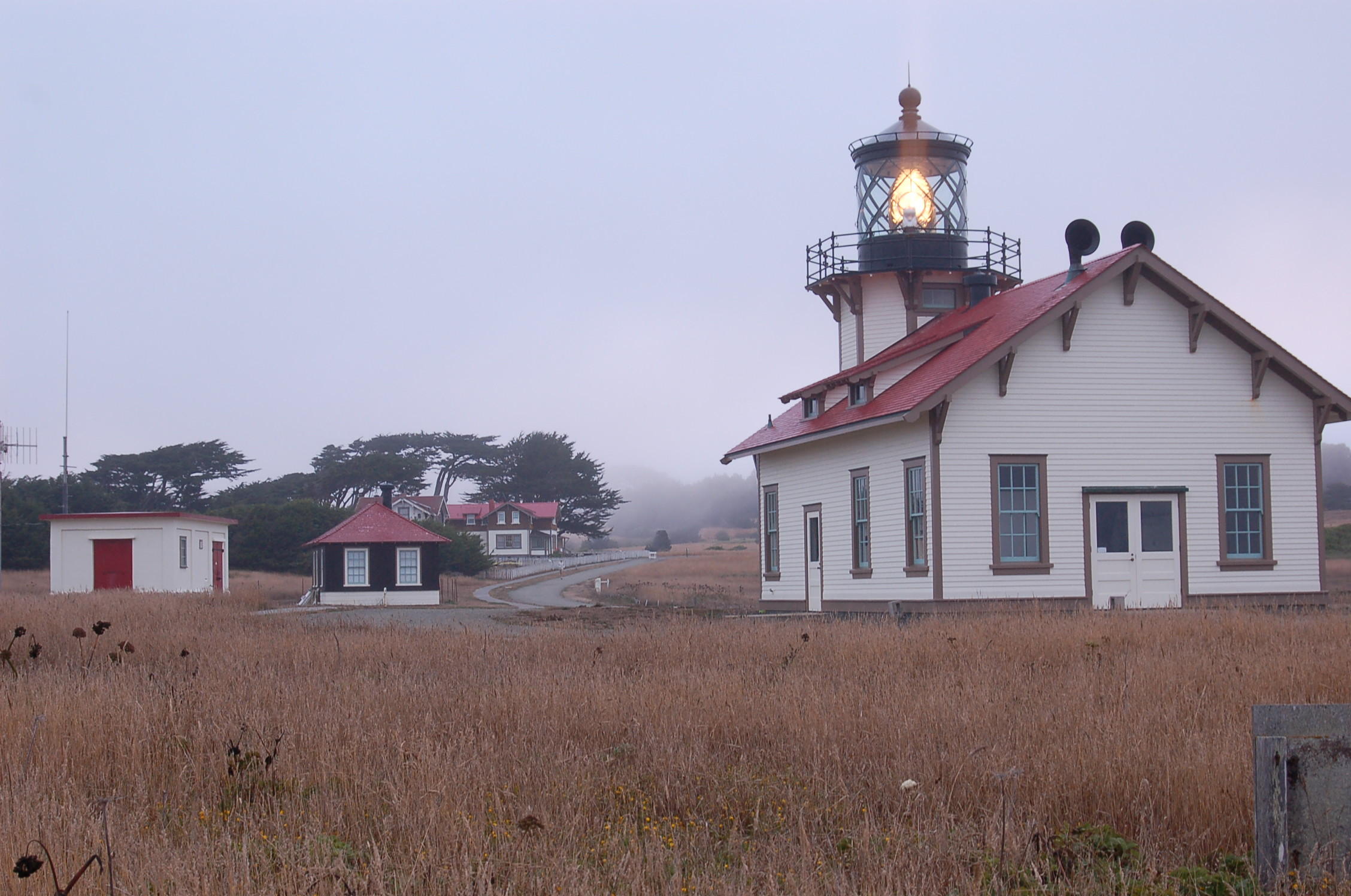 fog