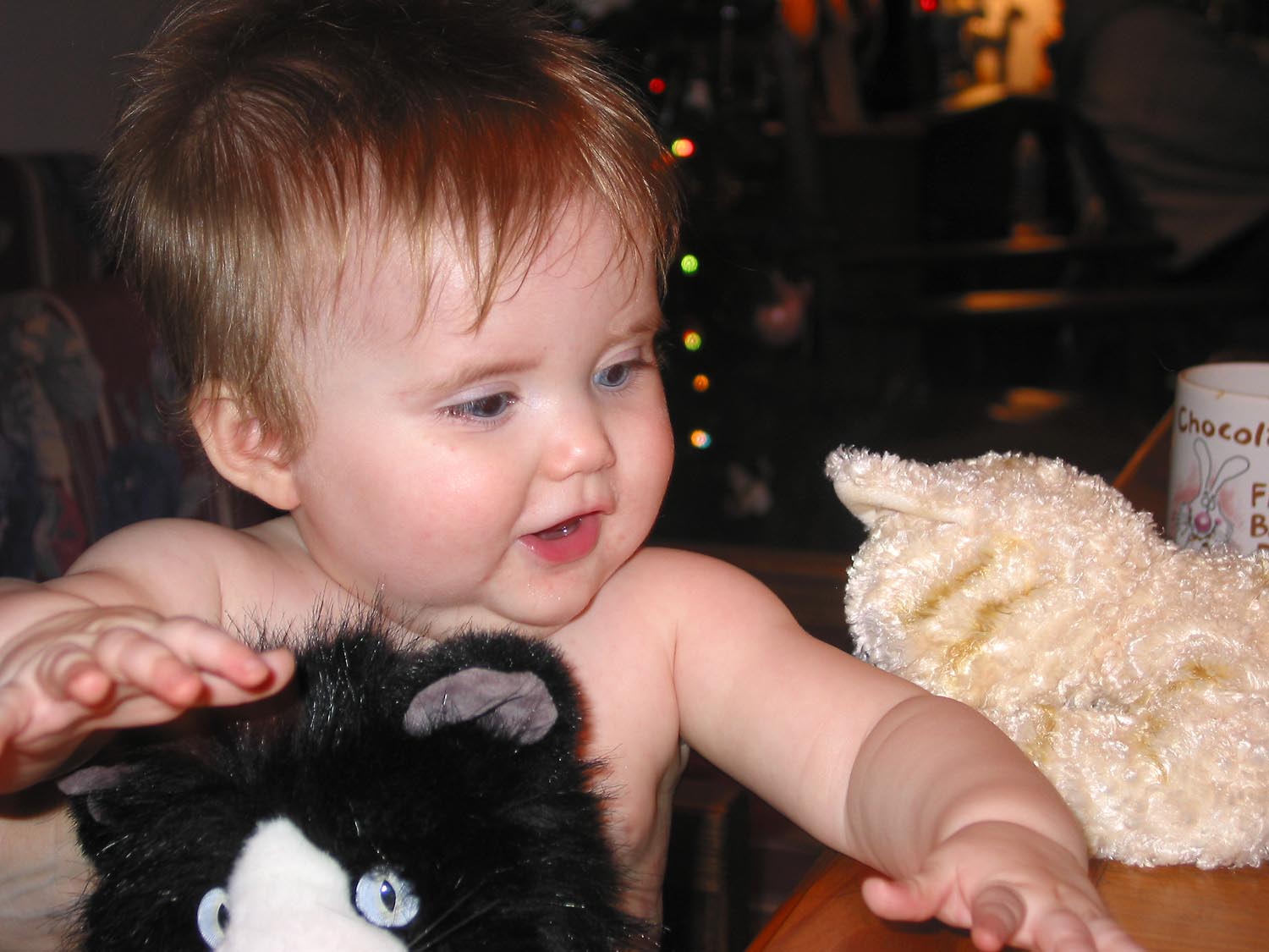 Sophia at Christmas 2006