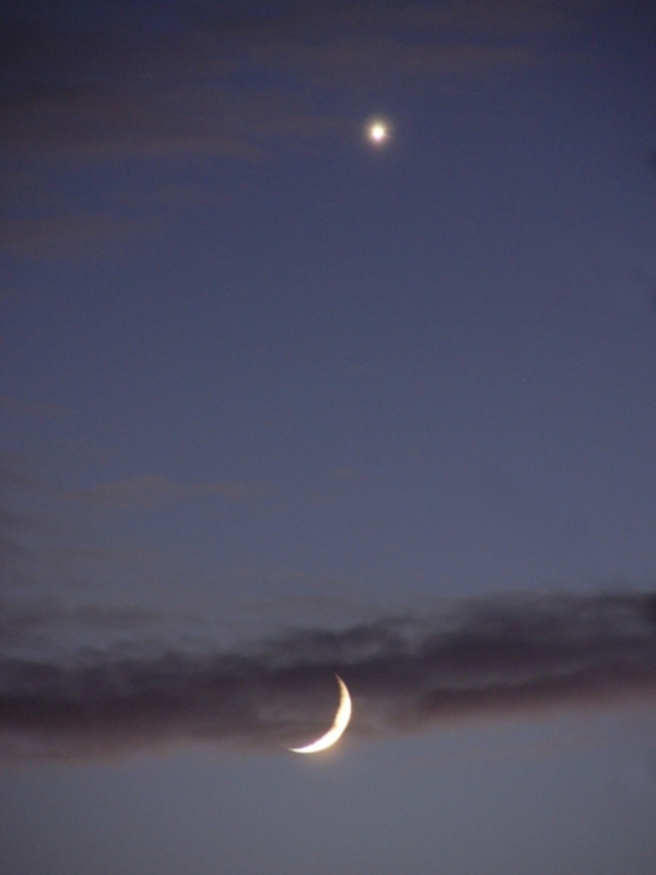 Crescent Moon & Venus