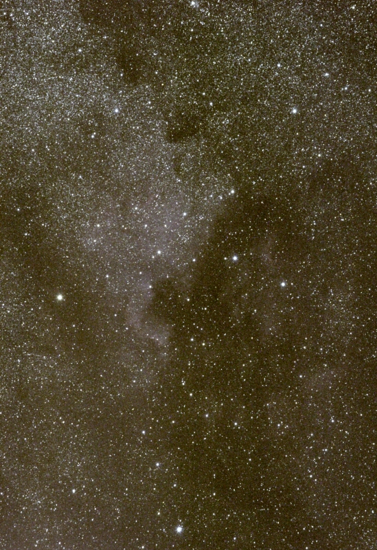 North America Nebula in Cygnus