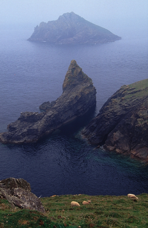 Misty day at Rumps Point, near Polzeath