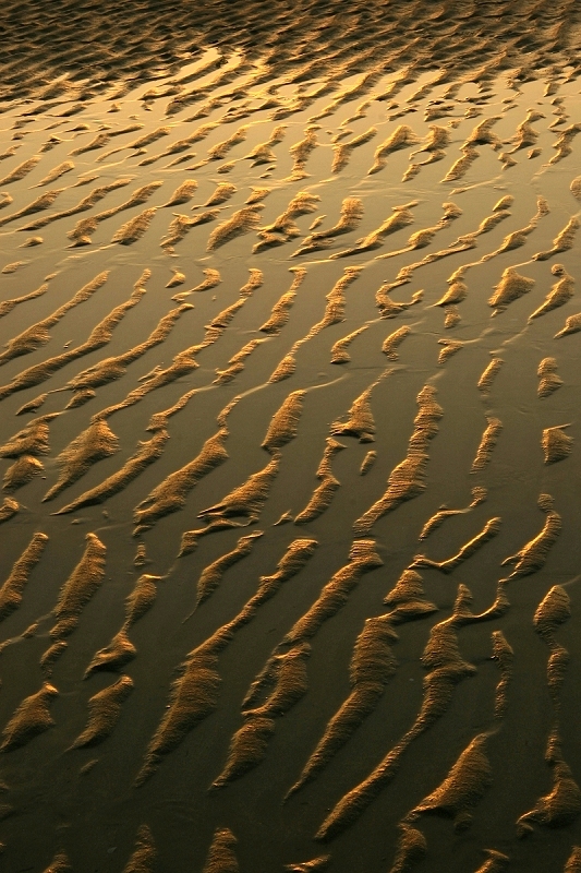 Sand ripples at sunset