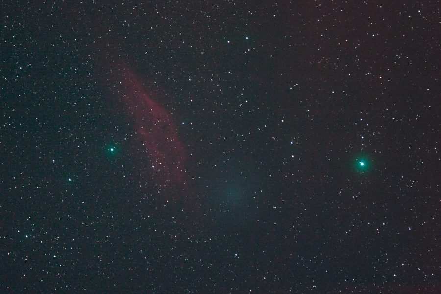 The California Nebula and Comet Holmes