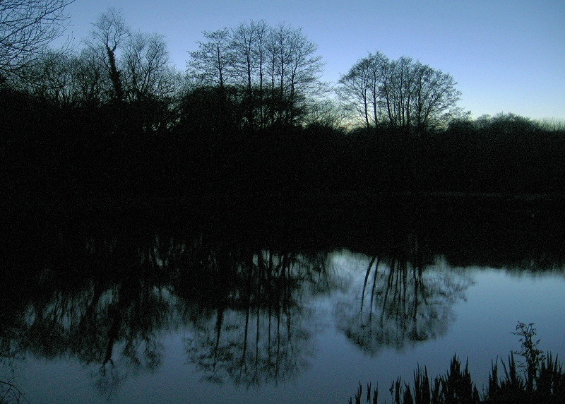 Pond at dusk