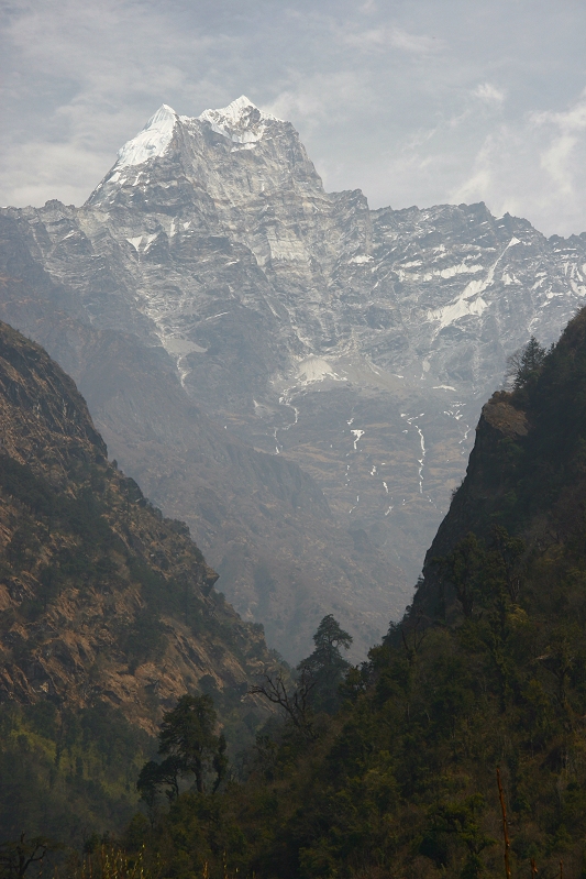 Kusum Kangguru (6367m, 20,889ft), from Tharo Kosi