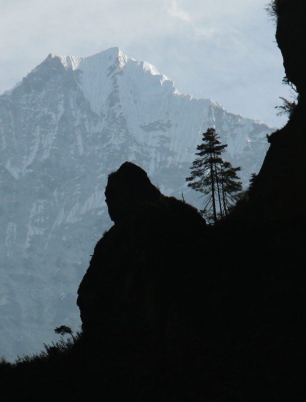 'Laughing Buddha' rock