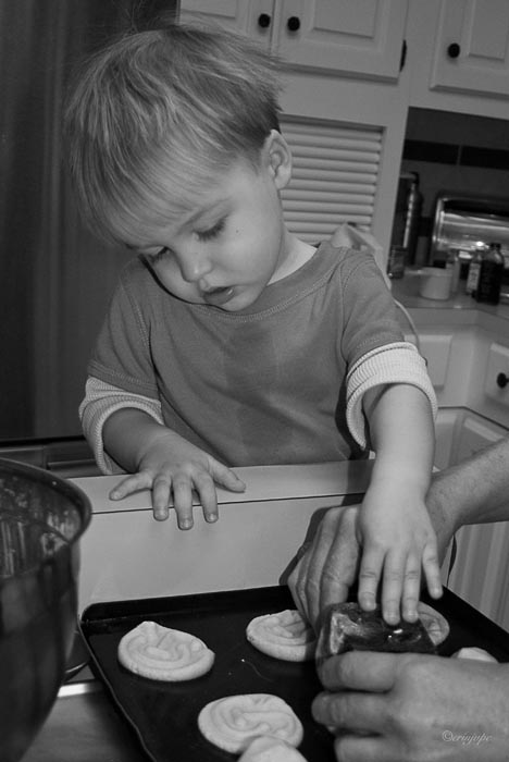 _MG_3062 copy.jpg