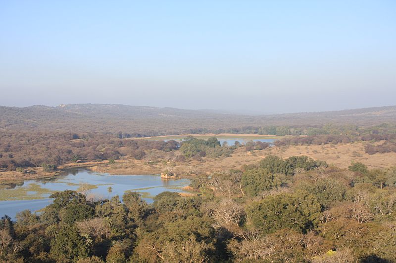Ranthambhore National park