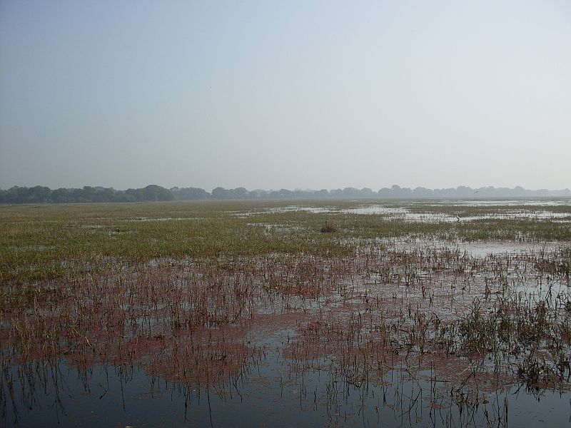 Landscape of India