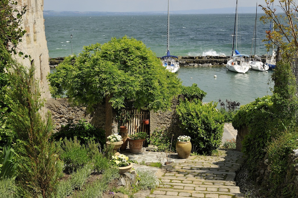 _D305823.JPG